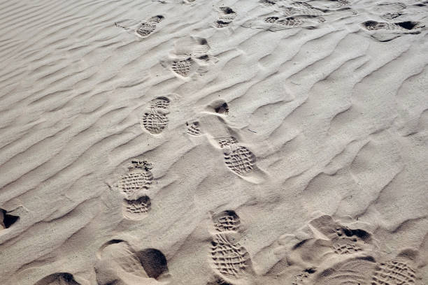 Close-up photo of footprints on the sand of a desert in the United Arab Emirates
