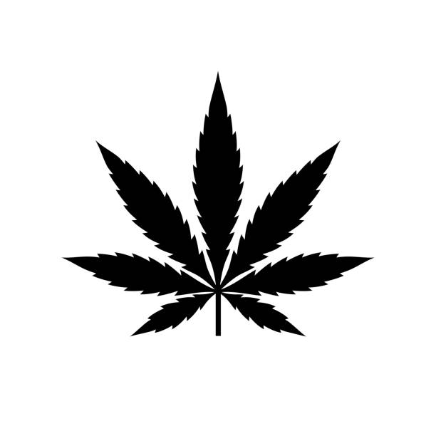 ilustraciones, imágenes clip art, dibujos animados e iconos de stock de icono de la hoja de marihuana. símbolo de fumar hierba o tratamiento. - asociación marijuana policy project