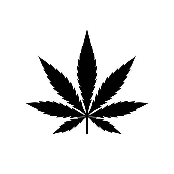 ikona liści marihuany. symbol palenia zioła lub leczenia. - narcotic medicine symbol marijuana stock illustrations