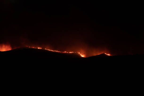 istock Huge forest fire in Moncayo, at night, Aragon, Spain 1414756254