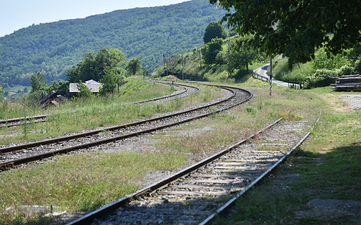 An image of a railroad track with goldenrod blooming on the side