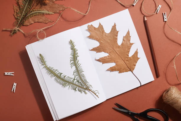 istock Dried pressed leaf on paper from notebook with pencil , scissors and twine on brown background. hobby, handmade , floral art and boho style concept 1414758600