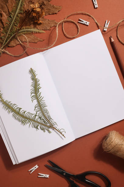 istock Dried pressed leaf on paper from notebook with pencil , scissors and twine on brown background. hobby, handmade , floral art and boho style concept 1414758601