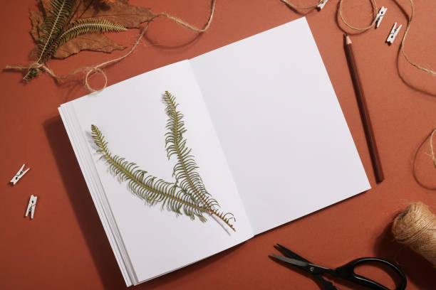 istock Dried pressed leaf on paper from notebook with pencil , scissors and twine on brown background. hobby, handmade , floral art and boho style concept 1414758602