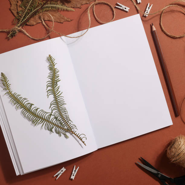 istock Dried pressed leaf on paper from notebook with pencil , scissors and twine on brown background. hobby, handmade , floral art and boho concept. square 1414758604