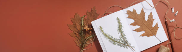 istock Dried pressed leaf on paper from notebook with pencil , scissors and twine on brown background. hobby, handmade , floral art and boho concept. banner 1414758785