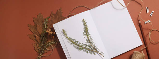 istock Dried pressed leaf on paper from notebook with pencil , scissors and twine on brown background. hobby, handmade , floral art and boho concept. banner 1414758788