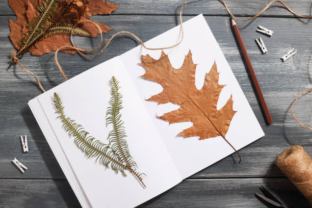 istock Dried pressed leaf on paper from notebook with pencil , scissors and twine on blue background. hobby, handmade , floral art and boho style concept 1414759558