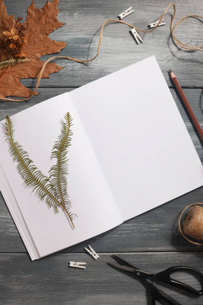 istock Dried pressed leaf on paper from notebook with pencil , scissors and twine on blue background. hobby, handmade , floral art and boho style concept 1414759560