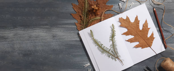 istock Dried pressed leaf on paper from notebook with pencil , scissors and twine on blue background. hobby, handmade , floral art and boho concept banner 1414759679