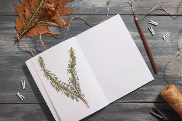 istock Dried pressed leaf on paper from notebook with pencil , scissors and twine on blue background. hobby, handmade , floral art and boho style concept 1414759682