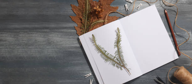 istock Dried pressed leaf on paper from notebook with pencil , scissors and twine on blue background. hobby, handmade , floral art and boho concept banner 1414759742