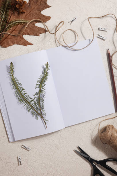 istock Dried pressed leaf on paper from notebook with pencil , scissors and twine on white background. hobby, handmade , floral art and boho style concept 1414759869
