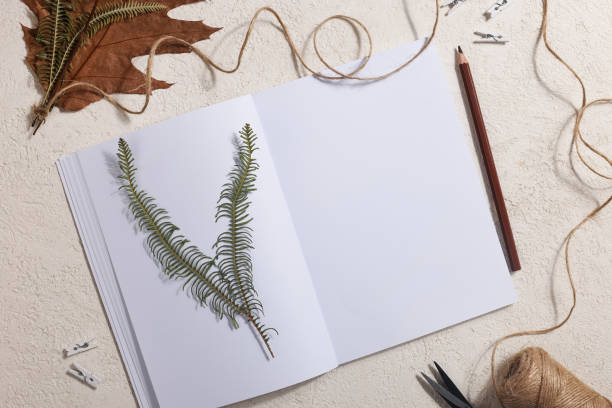 istock Dried pressed leaf on paper from notebook with pencil , scissors and twine on white background. hobby, handmade , floral art and boho style concept 1414759871