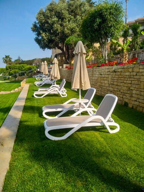 istock Relax scene in a tropical garden against a blue, clear cloudless sky. 1414759954
