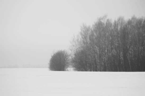 istock Photo winter landscape snow and bare trees. 1414759983