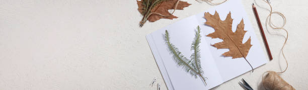 istock Dried pressed leaf on paper from notebook with pencil , scissors and twine on white background. hobby, handmade , floral art and boho concept banner 1414759994
