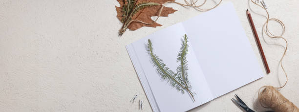 istock Dried pressed leaf on paper from notebook with pencil , scissors and twine on white background. hobby, handmade , floral art and boho concept banner 1414760027
