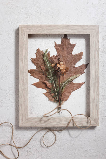 istock bouquet from dried pressed leaf in frame on white background. hobby, handmade , floral art and boho style concept. 1414760120