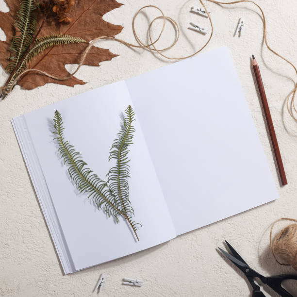 istock Dried pressed leaf on paper from notebook with pencil , scissors and twine on white background. hobby, handmade , floral art and boho concept square 1414760135
