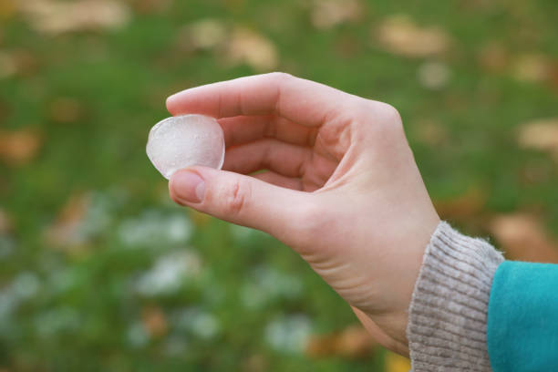 istock Woman holding hail grain after thunderstorm outdoors, closeup 1414764816