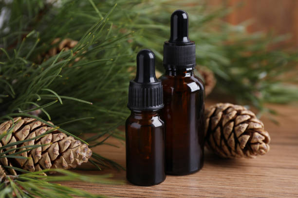 istock Pine essential oil, cones and branches on wooden table, closeup 1414764867