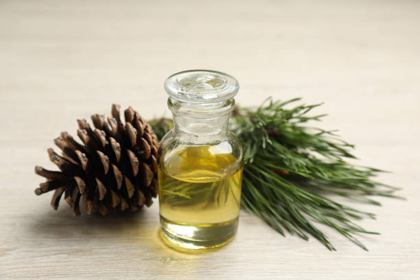 istock Pine essential oil, cone and branches on light wooden table, closeup 1414764902