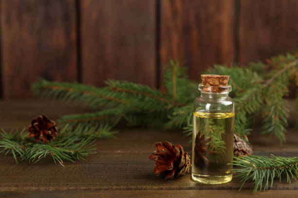 istock Pine essential oil, cones and branches on wooden table. Space for text 1414764906