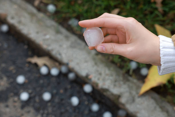 istock Woman holding hail grain after thunderstorm outdoors, closeup 1414765223
