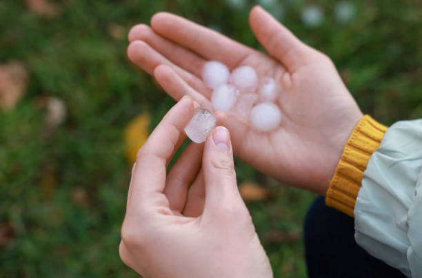 istock Woman holding hail grains after thunderstorm outdoors, closeup 1414765277