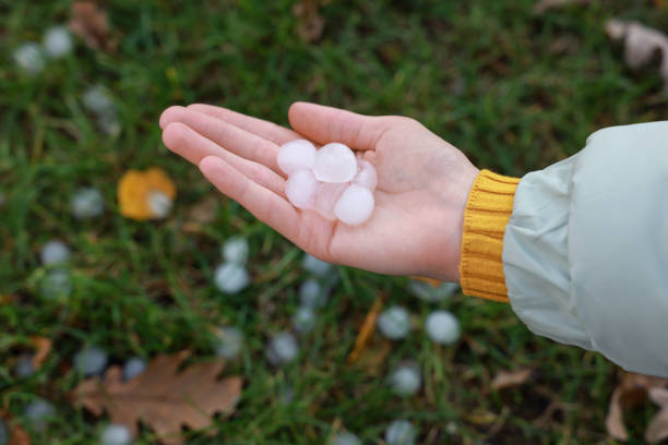 istock Woman holding hail grains after thunderstorm outdoors, closeup 1414765292