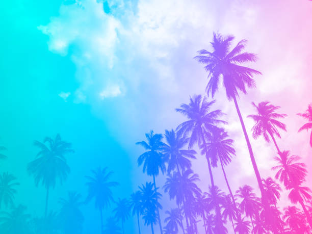 istock Coconut palm trees on summer colorful sky, beautiful tropical background with space, bottom view. Gradient colors with light blue, purple and pink. 1414767338