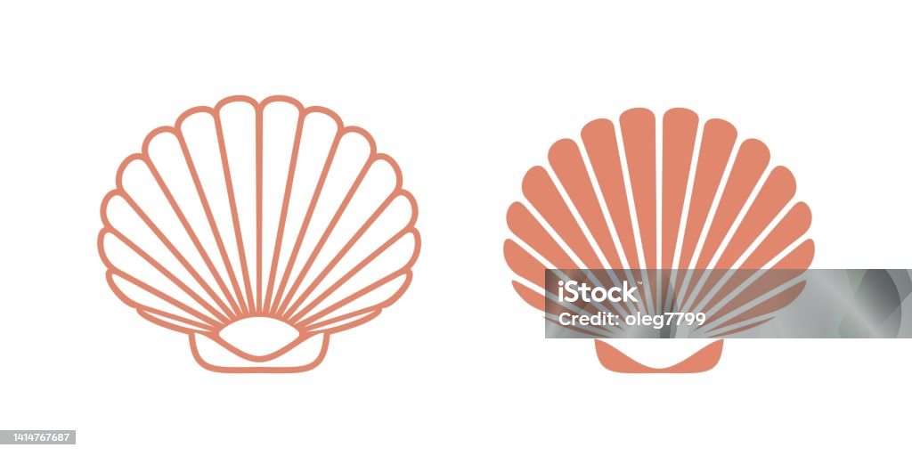 Scallops Graphics Scallop Set Isolated Scallop On White Background Stock Illustration ...