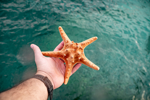 A starfish in the oceanic water.