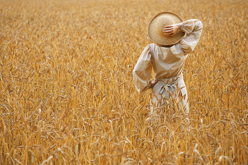 Farmer standing in a golden wheat field. Agriculture, business, harvest.