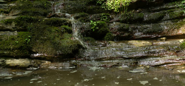 istock Small forest waterfall. A river, a stream of water falling over stones and grass. Berendeyevo kingdom, Sochi, Russia. 1414771666