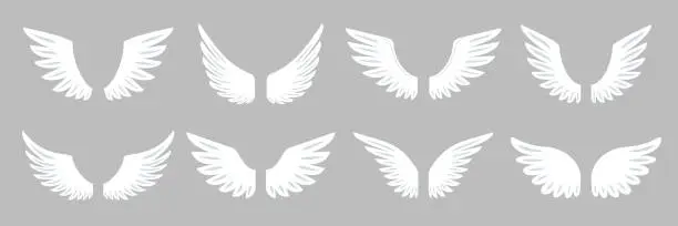 Vector illustration of Angel hawk eagle falcon bird wings freedom symbol