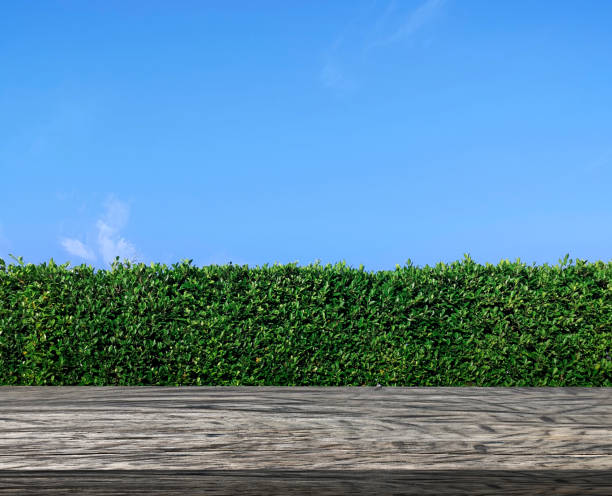 istock Wooden table terrace with green grass wall texture and bright blue sky 1414773095