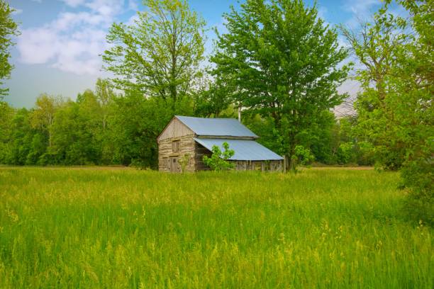 istock Old Abandoned Log Cabin-Tipton County,Indiana 1414778167
