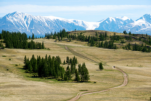 Steppe hills and snowy mountain range on the back plane. Panoramic landscape view. Wild nature. Altai mountains