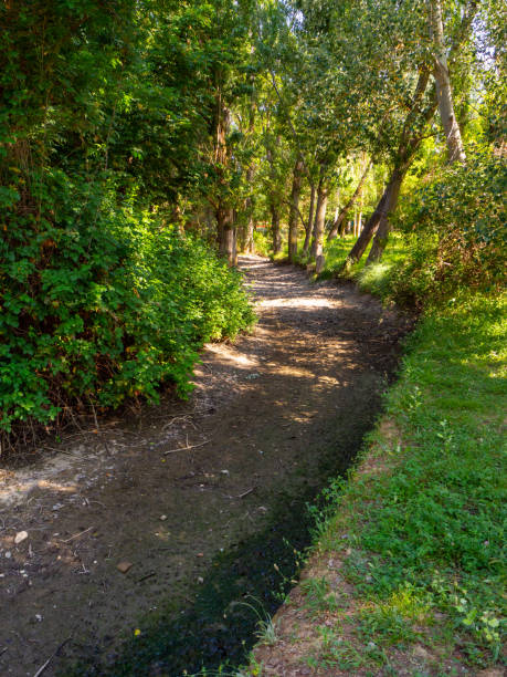 dry river as a result of droughts due to climate change. HD image