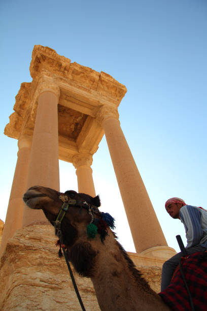 Arab man and camel in Palmyra Syria stock photo