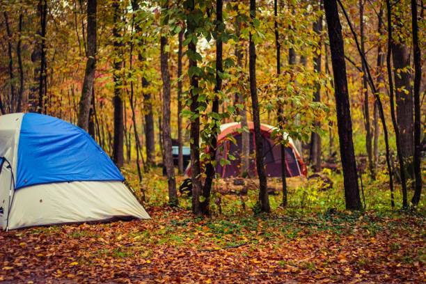 istock Tents at wooded campsite 1414787882
