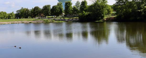 istock Lake in the Peaceful Park 1414787978
