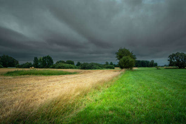 istock Rural landscape with fields on a cloudy summer day 1414795667