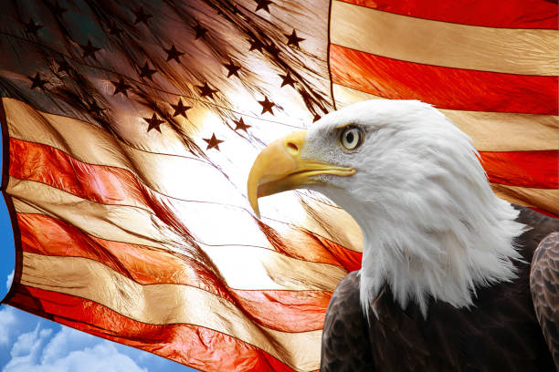 istock American Flag and American Eagle 1414796140
