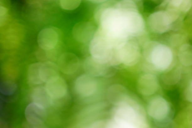istock Blurry green nature forest landscape background 1414797157