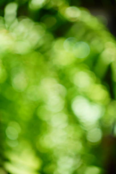 istock Blurry green nature forest landscape background 1414797208