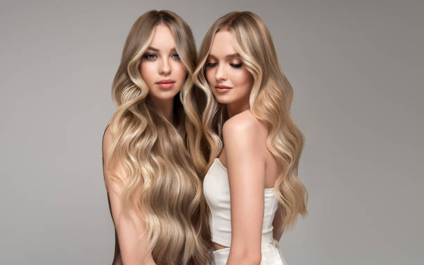 Double portrait of two women with elegant long hair dyed in the shades of blonde.Hairdressing and professional dyeing. stock photo