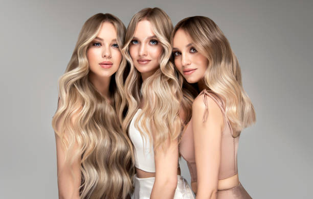 Triple portrait of young women with elegant long hairstyles dyed in the shades of blonde.Hairdressing and professional dyeing. stock photo
